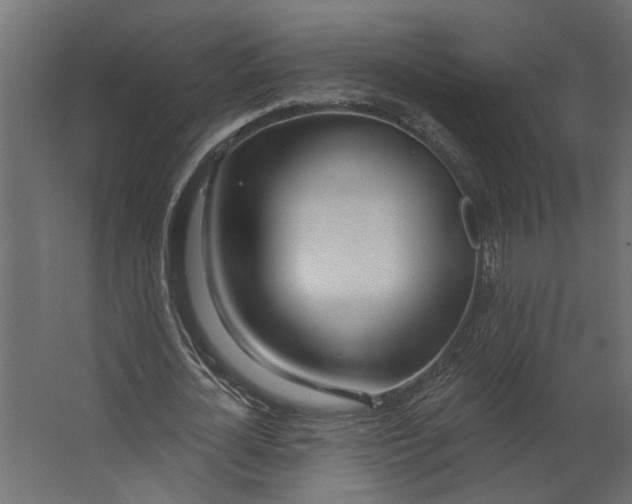 X0000067490724200604211658