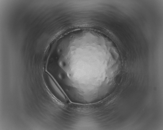 X0000067490725200604211658