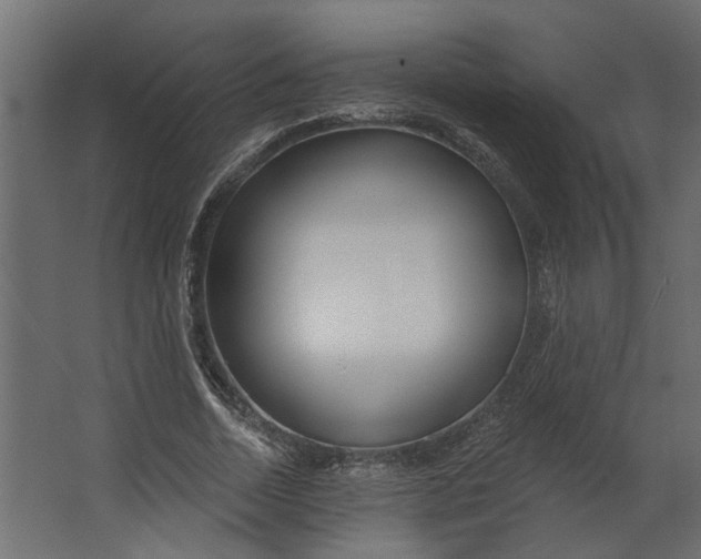 X0000067490730200604211658