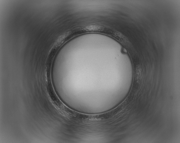 X0000067490734200604211658