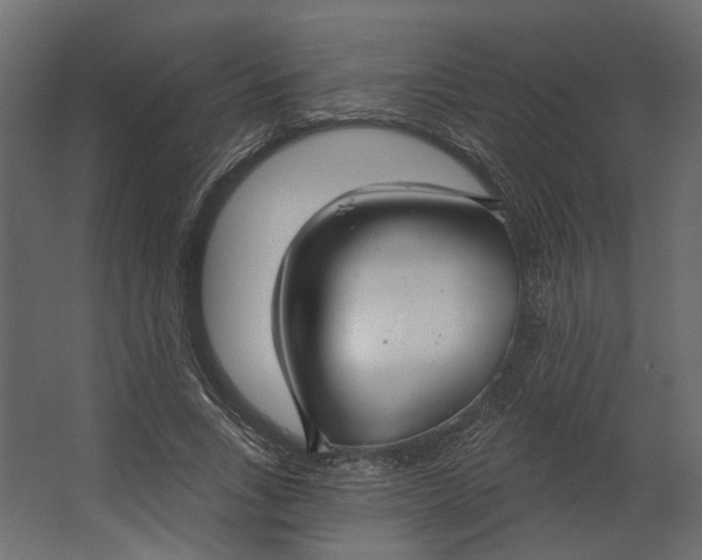 X0000067490735200604211658