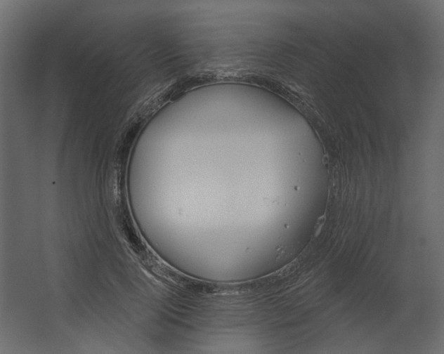 X0000067490740200604211658