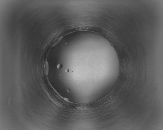X0000067490742200604211658