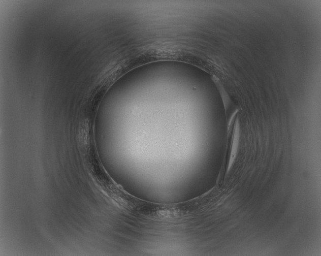 X0000067490744200604211658