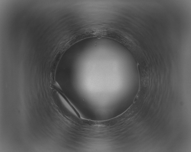 X0000067490748200604211658