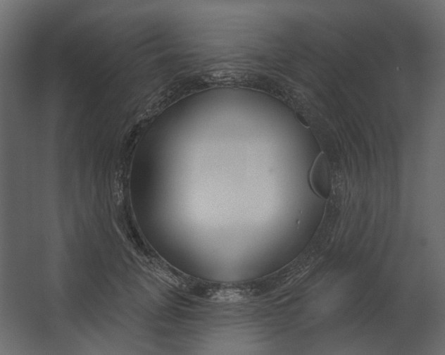 X0000067490751200604211658