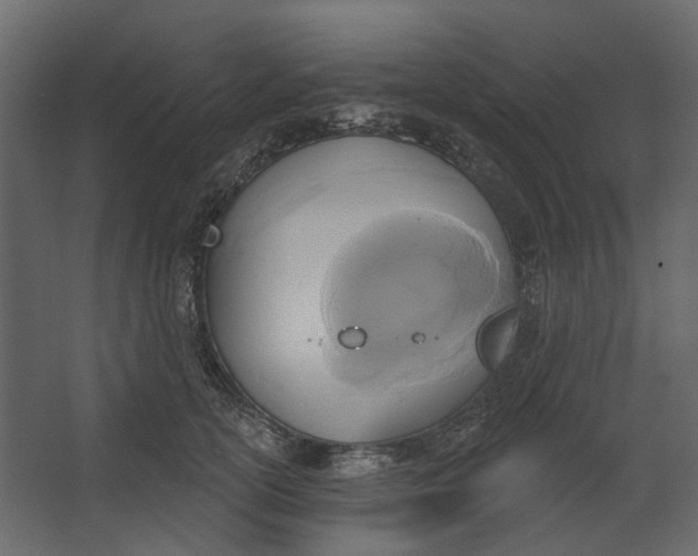 X0000067490754200604211658