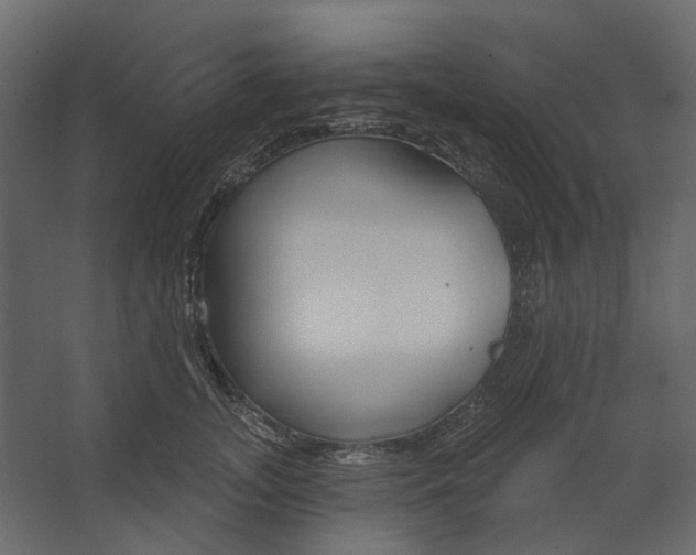 X0000067490755200604211659