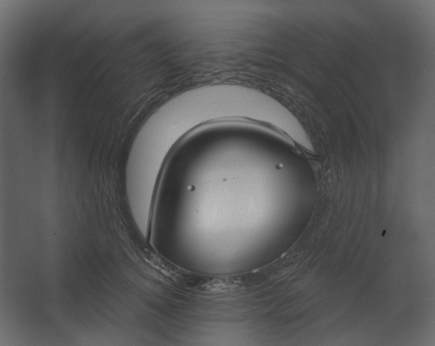 X0000067490756200604211659