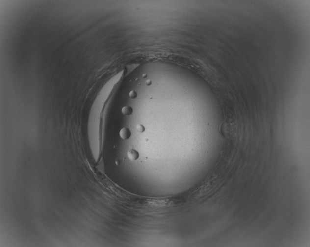 X0000067490757200604211659