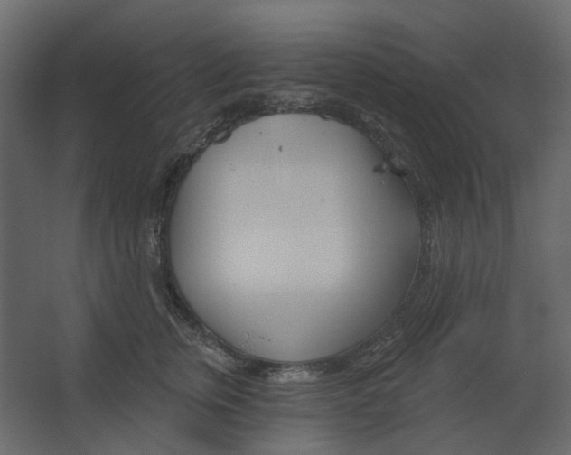 X0000067490759200604211659