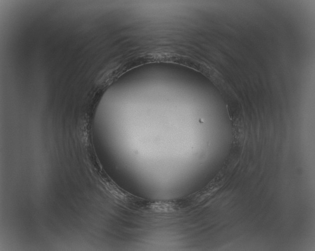 X0000067490762200604211659