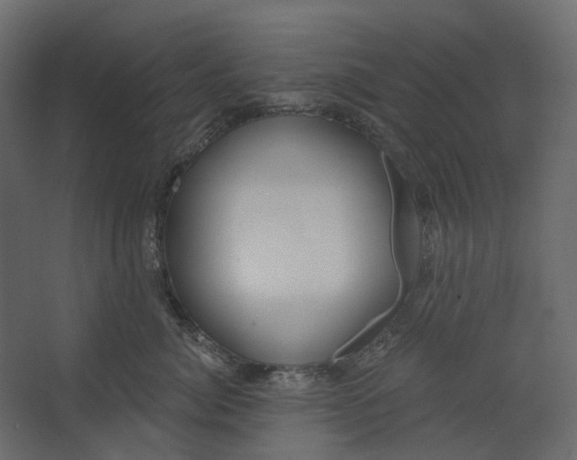 X0000067490764200604211659