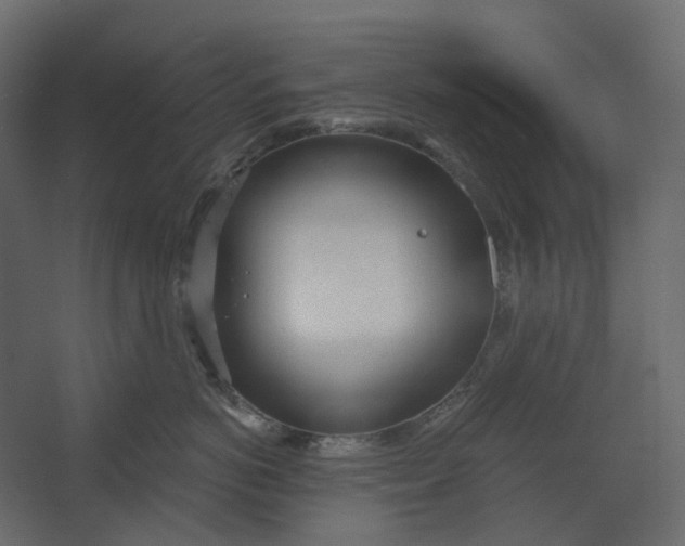 X0000067490766200604211659