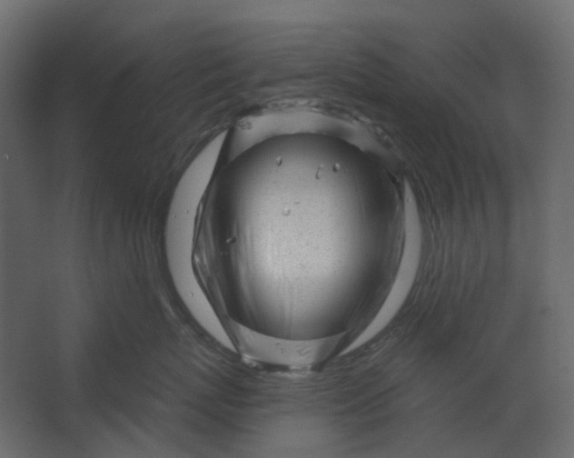 X0000067490767200604211659
