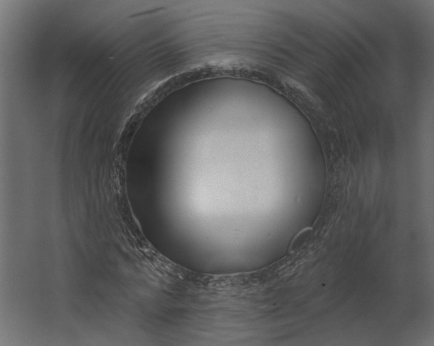 X0000067490776200604211658