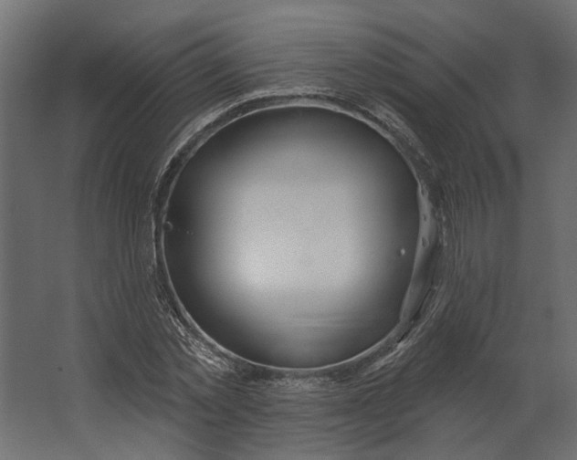 X0000067490781200604211658