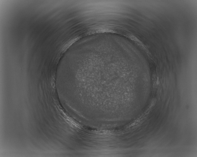 X0000067490785200604211658