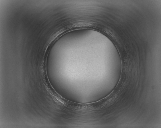 X0000067490786200604211658