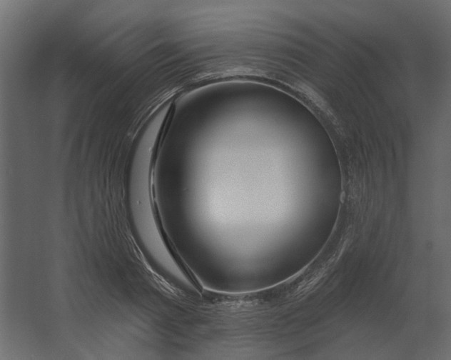 X0000067490793200604211658