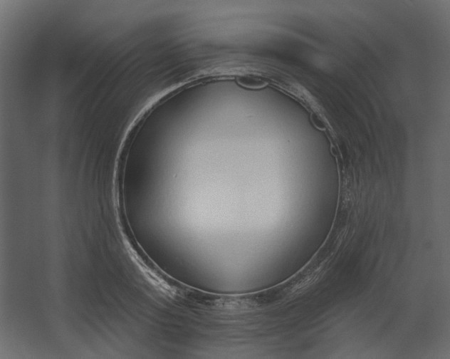 X0000067490795200604211657
