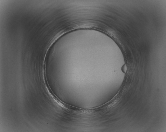 X0000067490802200604211657
