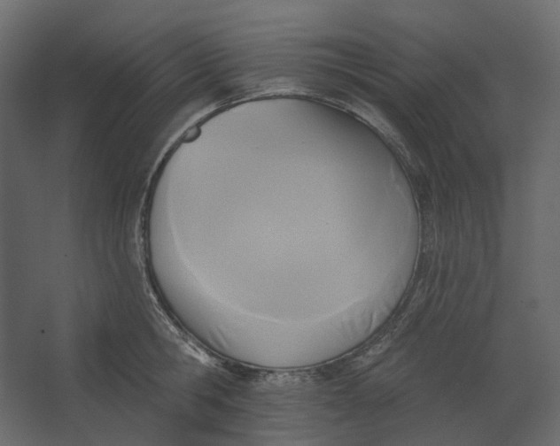 X0000067490806200604211657