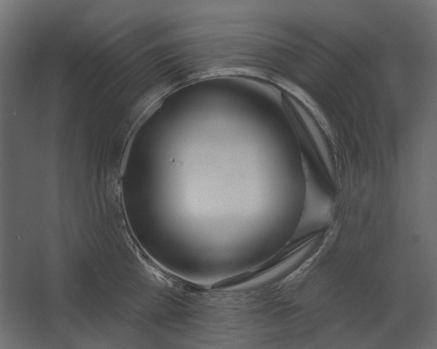 X0000067490809200604211657