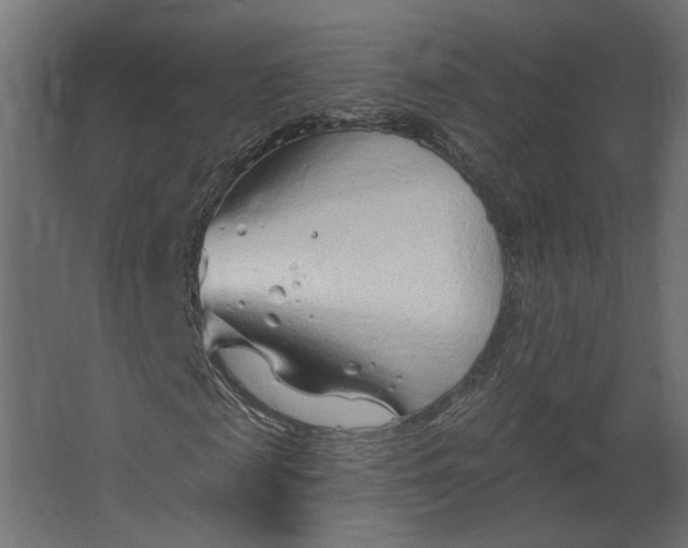 X0000067490817200604211656