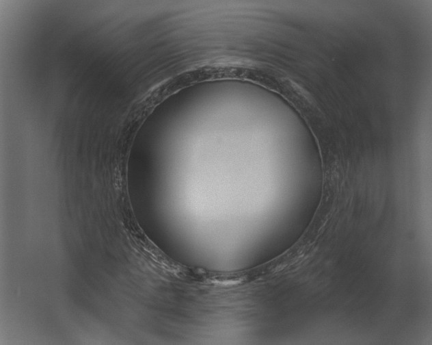 X0000067490821200604211656