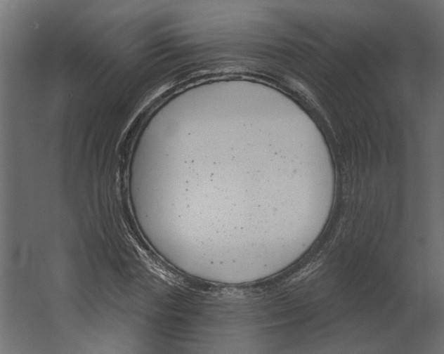 X0000067490827200604211657