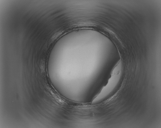 X0000067490833200604211657