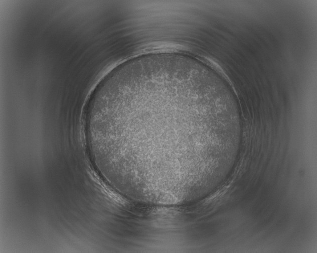 X0000067490835200604211657