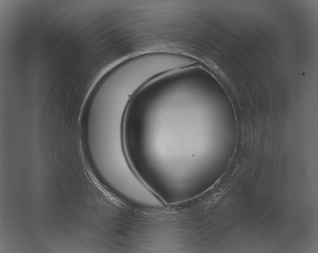 X0000067490838200604211657