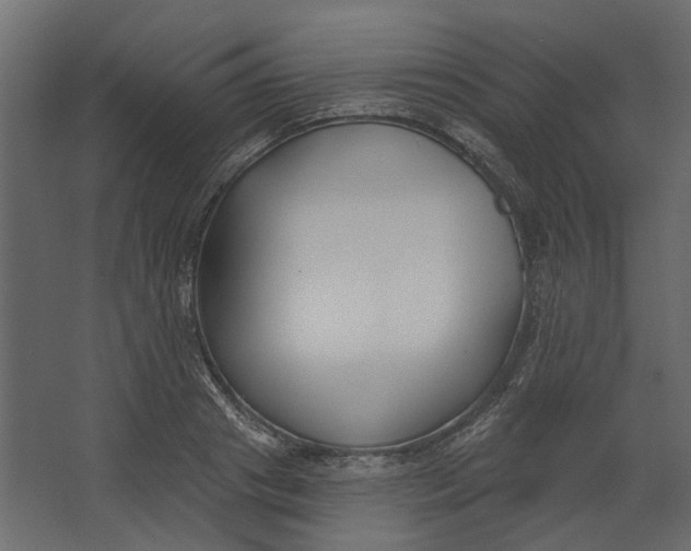 X0000067490841200604211657