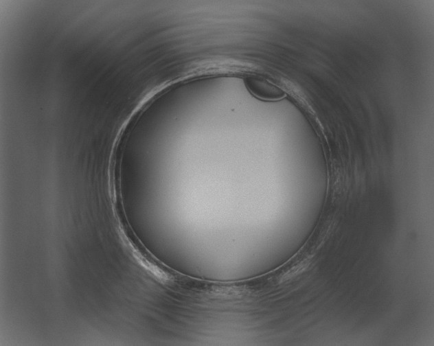 X0000067490843200604211657