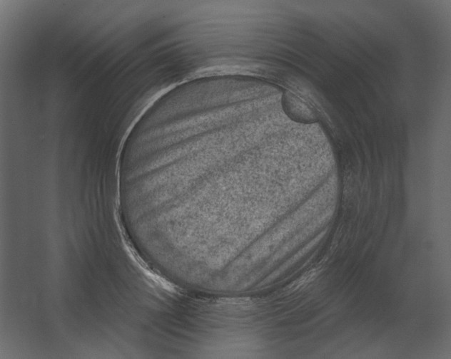 X0000067490844200604211657