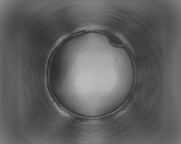 X0000067490845200604211657