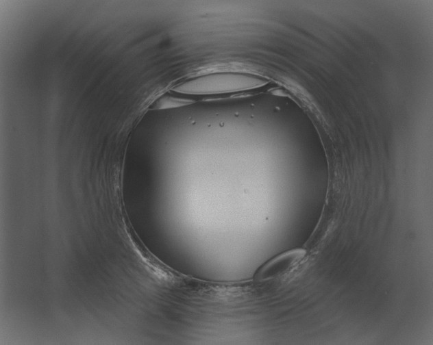 X0000067490849200604211657