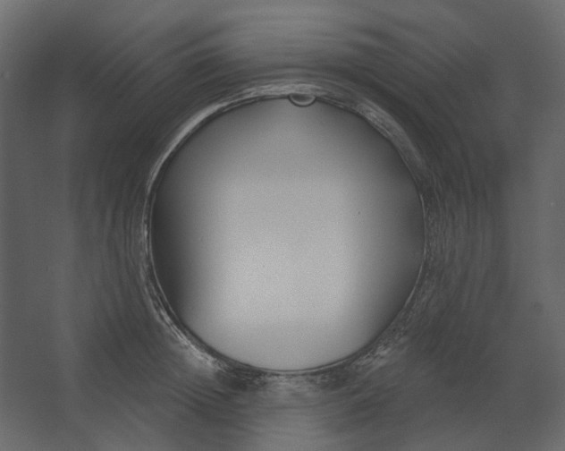 X0000067490852200604211657