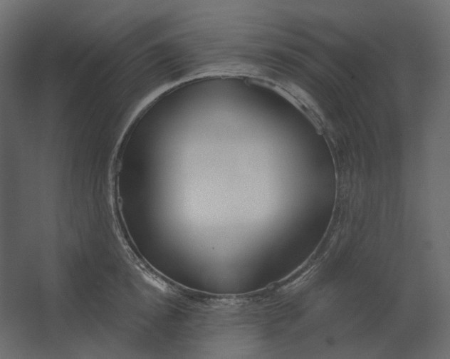 X0000067490854200604211657