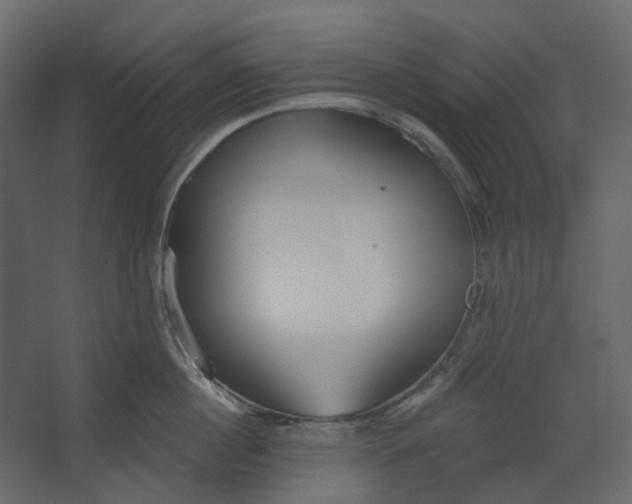 X0000067490860200604211657