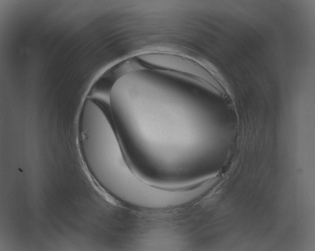 X0000067490862200604211657