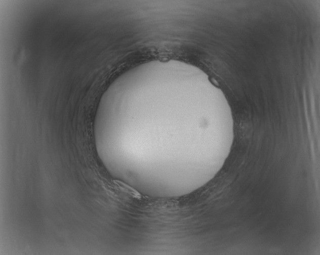 X0000067490865200604211656