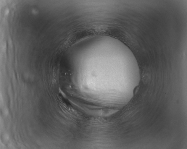 X0000067490866200604211656