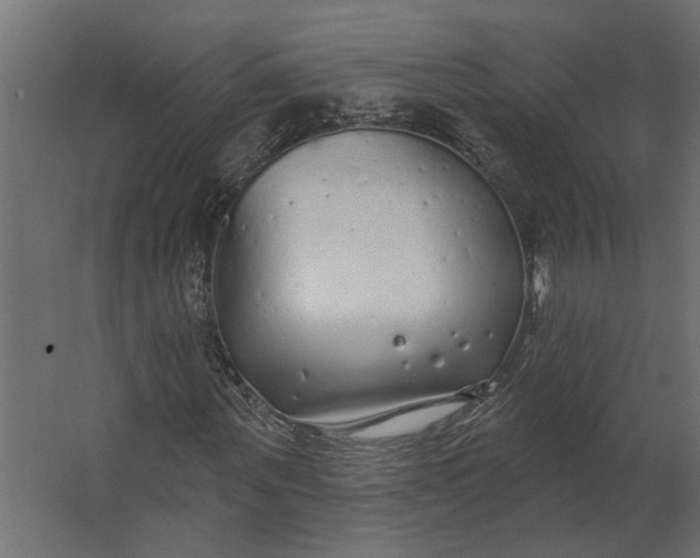 X0000067490867200604211656