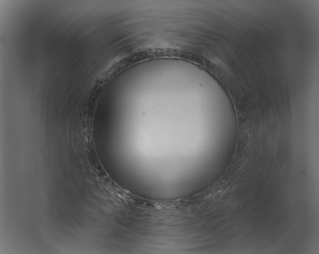 X0000067490870200604211656