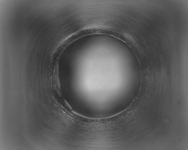 X0000067490872200604211656