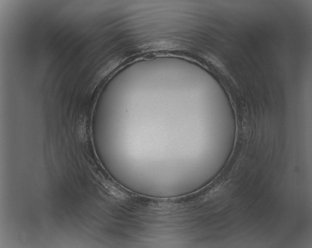 X0000067490873200604211656