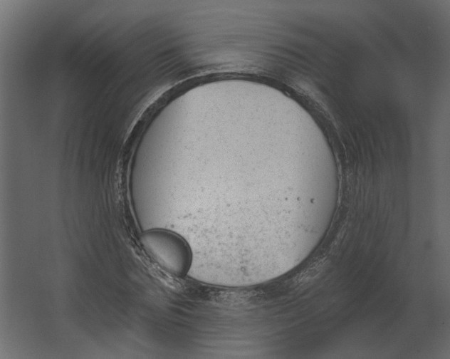 X0000067490875200604211656